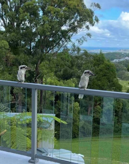 Ocean View Oasis, Coffs Harbour Leilighet Eksteriør bilde